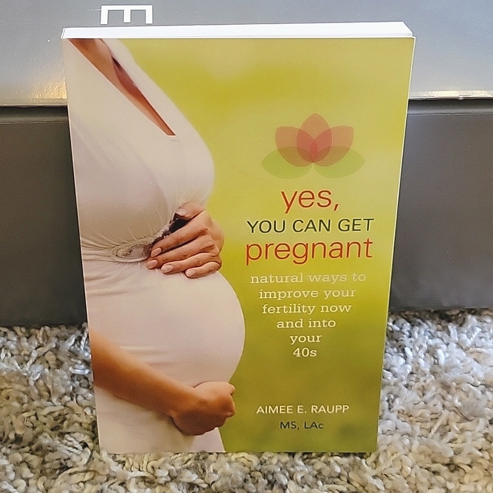 Yes, You Can Get Pregnant...into your 40s Book